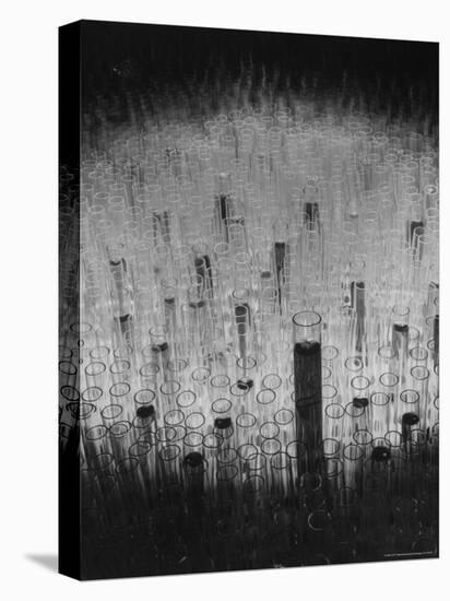 Hundreds of Test Tubes Set Up to Symbolize the Lengthy Search For Polio Vaccine-Andreas Feininger-Premier Image Canvas