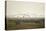 Hungarian Grey Cattle (Bos Primigenius Taurus Hungaricus) with European Starlings Overhead, Hungary-Radisics-Premier Image Canvas