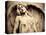 Hungary, Budapest, Kerepesi Cemetery-Michele Falzone-Premier Image Canvas