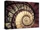 Hungary, Budapest, St; Stephen Cathedral (Szent Istvan Bazilika), Staircase to Dome-Michele Falzone-Premier Image Canvas