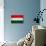 Hungary Flag Design with Wood Patterning - Flags of the World Series-Philippe Hugonnard-Stretched Canvas displayed on a wall
