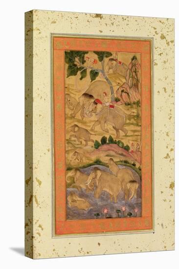 Hunters Capturing Elephants, from the Large Clive Album, C.1760-65 (Tinted Drawing on Paper)-Mughal-Premier Image Canvas