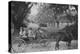 Hunters, Medway Plantation for the Annual Sidney Legendre Hunt, South Carolina, 1938-Alfred Eisenstaedt-Premier Image Canvas