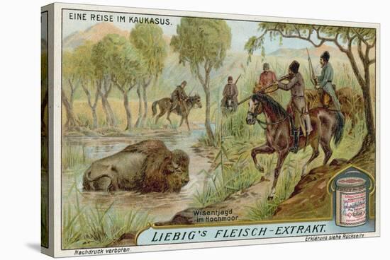 Hunting Bison in a Swamp-null-Premier Image Canvas