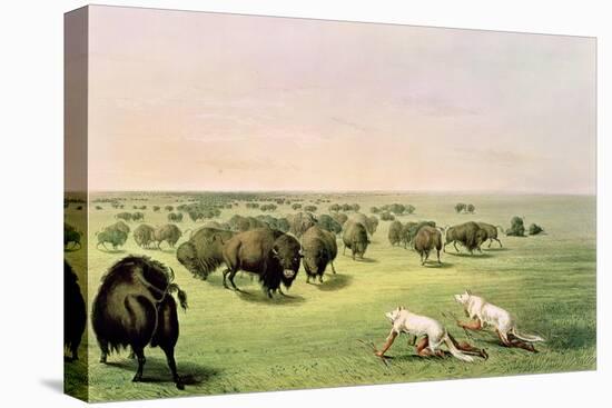 Hunting Buffalo Camouflaged with Wolf Skins, circa 1832-George Catlin-Premier Image Canvas