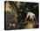 Hunting Scene-Alexandre-Francois Desportes-Premier Image Canvas