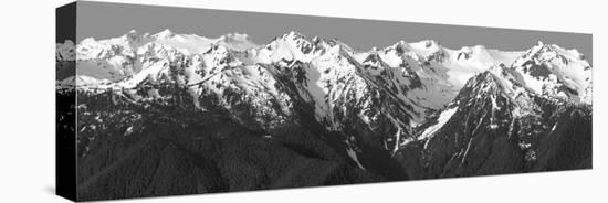 Hurricane Ridge Morning-Douglas Taylor-Stretched Canvas