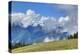 Hurricane Ridge, Olympic National Park, UNESCO World Heritage Site-Richard Maschmeyer-Premier Image Canvas