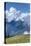 Hurricane Ridge, Olympic National Park, UNESCO World Heritage Site-Richard Maschmeyer-Premier Image Canvas