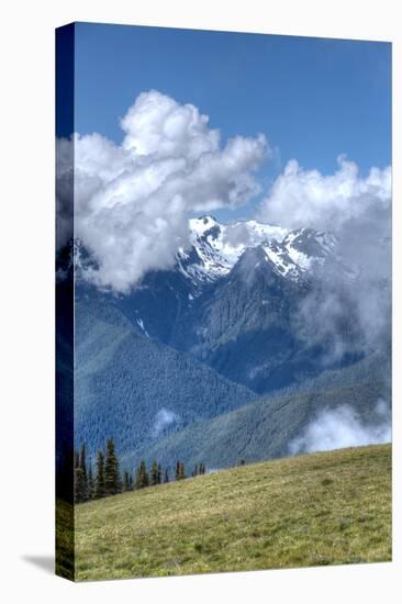 Hurricane Ridge, Olympic National Park, UNESCO World Heritage Site-Richard Maschmeyer-Premier Image Canvas