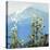 Hurricane Ridge-Max Hayslette-Premier Image Canvas