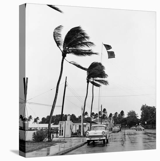 Hurricanes 1960-Harold Valentine-Premier Image Canvas