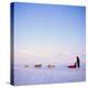 Husky Dog Sled Team, Spitsbergen, Norway, Europe-David Lomax-Premier Image Canvas