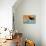 Husky Dog-Angus Mcbride-Premier Image Canvas displayed on a wall