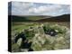 Hut Foundations, Grimspound Enclosure, Dartmoor, Devon, England, United Kingdom-Adam Woolfitt-Premier Image Canvas