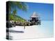 Hut on the Beach-null-Premier Image Canvas