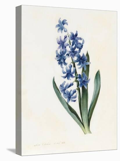 Hyacinth, 1826-Louise D'Orleans-Premier Image Canvas