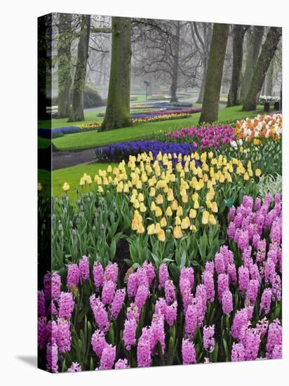 Hyacinth and tulip flowers, Keukenhof Gardens, Lisse, Netherlands-Adam Jones-Premier Image Canvas