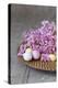 Hyacinth Blossoms and Easter Eggs-Andrea Haase-Premier Image Canvas