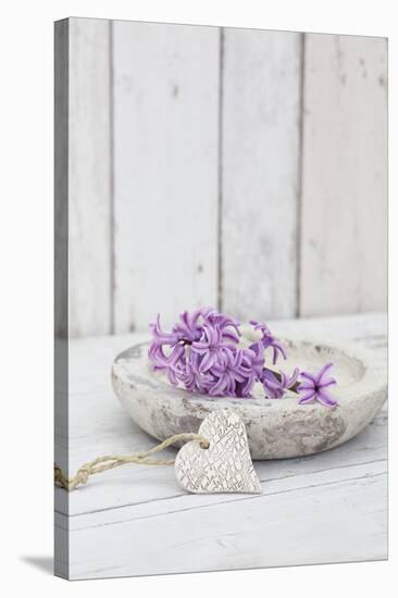 Hyacinth flowers in stone bowl, close up, still life-Andrea Haase-Stretched Canvas