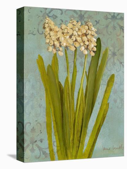 Hyacinth on Teal II-Lanie Loreth-Stretched Canvas