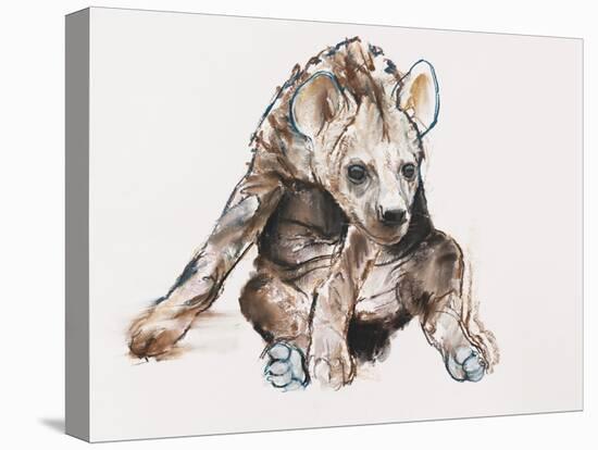 Hyaena Pup, 2019,-Mark Adlington-Premier Image Canvas