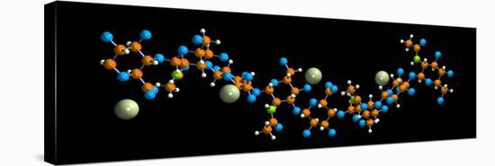 Hyaluronic Acid, Molecular Model-Dr. Mark J.-Premier Image Canvas