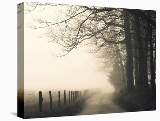 Hyatt Lane-Nicholas Bell-Premier Image Canvas