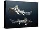 Hybodus Shark-Christian Darkin-Premier Image Canvas