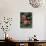 Hybrid Waterlillys, Indiana, USA-Adam Jones-Premier Image Canvas displayed on a wall