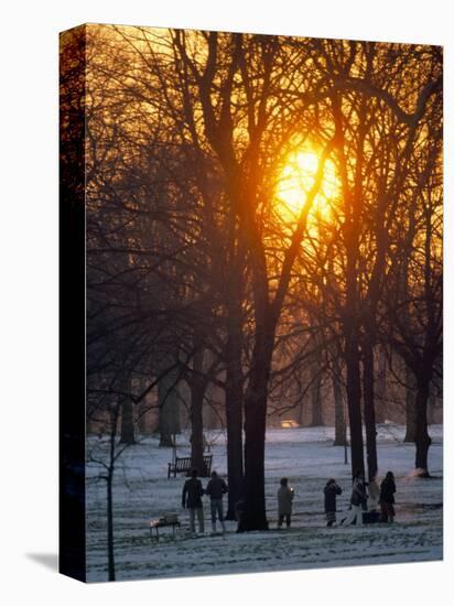 Hyde Park in Winter, London, England, United Kingdom-Adam Woolfitt-Premier Image Canvas