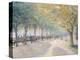 Hyde Park, London, 1890-Camille Pissarro-Premier Image Canvas