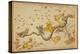 Hydra and Surrounding Constellations, 1825-Science Source-Premier Image Canvas