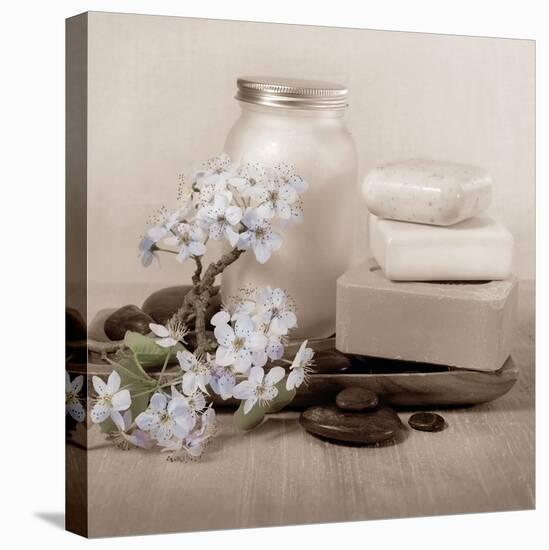 Hydrangea and Soap-Julie Greenwood-Stretched Canvas