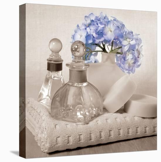 Hydrangea and Towel-Julie Greenwood-Stretched Canvas