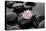 Hydrangea and Wet Stones-crystalfoto-Premier Image Canvas