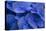 Hydrangea Blues I-Rita Crane-Premier Image Canvas