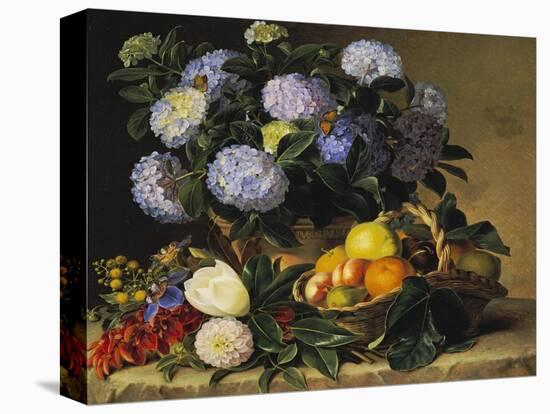 Hydrangea in an Urn and a Basket of Fruit on a Ledge-Johan Laurentz Jensen-Premier Image Canvas