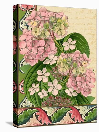 Hydrangea on Love Letters-Piddix-Stretched Canvas