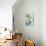 Hydrangea Particulata-Karen Armitage-Premier Image Canvas displayed on a wall