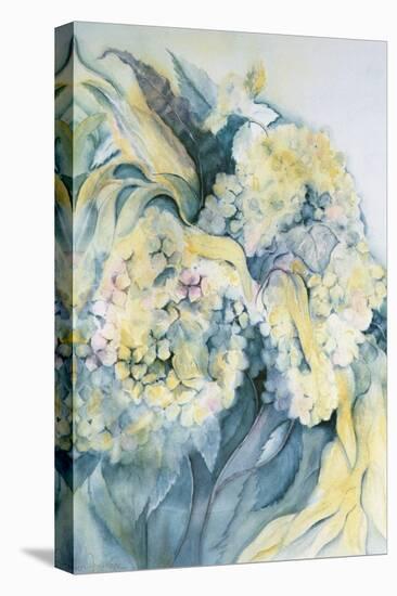 Hydrangea Particulata-Karen Armitage-Premier Image Canvas