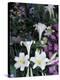 Hydrangea, Violas, Easter Lily's, Cincinatti, Ohio, USA-Adam Jones-Premier Image Canvas