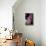 Hydrangea-Karyn Millet-Premier Image Canvas displayed on a wall