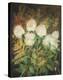 Hydrangeas and Ferns-Maret Hensick-Stretched Canvas