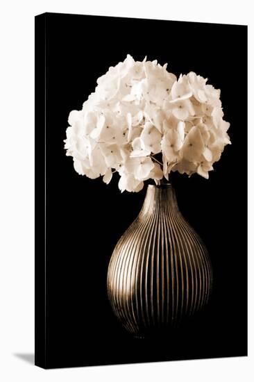 Hydrangeas in A Vase-Christine Zalewski-Stretched Canvas