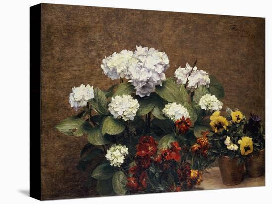 Hydrangeas, Wallflowers and Two Pots of Pansies, 1879-Henri Fantin-Latour-Premier Image Canvas