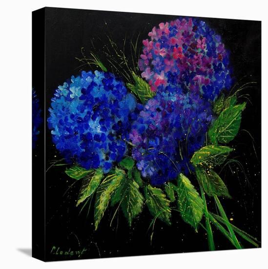 Hydrangeas-Pol Ledent-Stretched Canvas