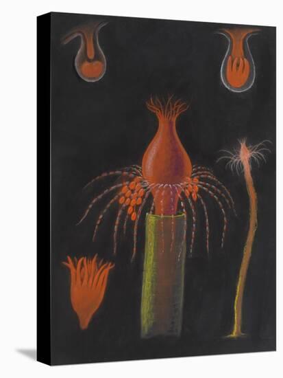 Hydrozoan-Philip Henry Gosse-Premier Image Canvas