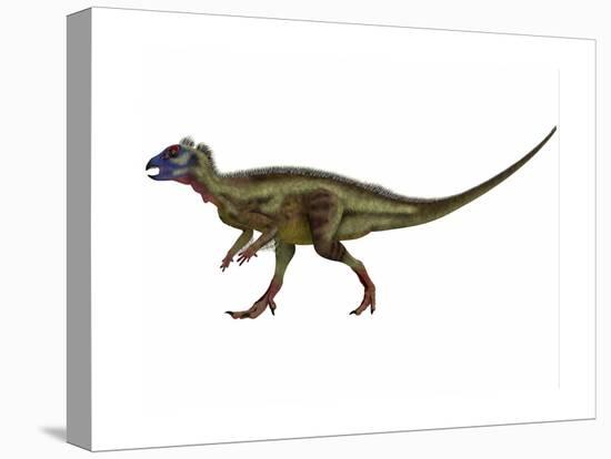 Hypsilophodon Is an Ornithopod Dinosaur from the Cretaceous Period-null-Stretched Canvas