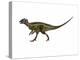 Hypsilophodon Is an Ornithopod Dinosaur from the Cretaceous Period-null-Stretched Canvas